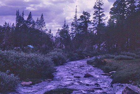 Fish Creek - John Muir Wilderness 21 Aug 1967 Fish Creek - John Muir Wilderness 21 Aug 1967