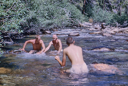 Swimming at Quail Meadows - John Muir Wilderness 13 Aug 1962