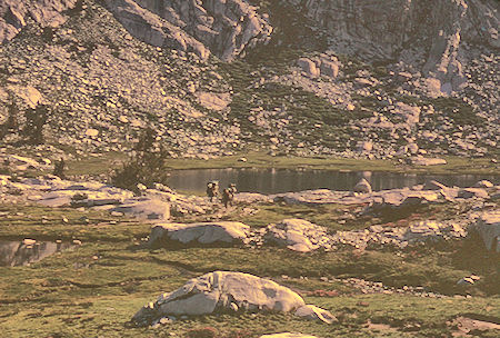 Silver Pass Trail - John Muir Wilderness 223 Aug 1967 Silver Pass Trail - John Muir Wilderness 23 Aug 1967
