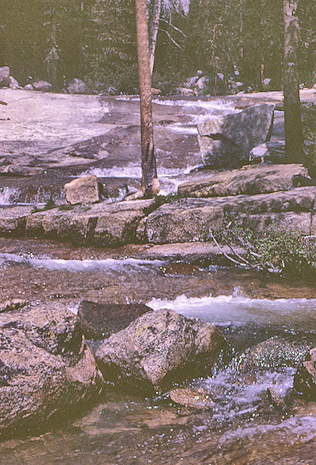 North Fork Mono Creek - John Muir Wilderness 23 Aug 1967 North Fork Mono Creek - John Muir Wilderness 23 Aug 1967