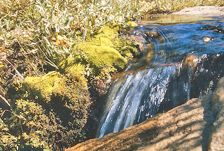 Creek - John Muir Wilderness 31 Aug 1976