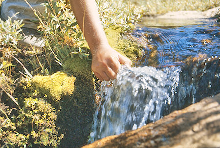 Getting a cup of water from the creek<br>John Muir Wilderness 31 Aug 1976 Getting a cup of water from the creek<br>John Muir Wilderness 31 Aug 1976