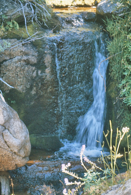 Cascade<br>John Muir Wilderness 31 Aug 1976 Cascade<br>John Muir Wilderness 31 Aug 1976