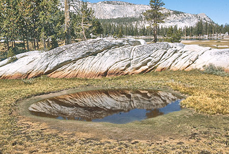 At Grassy Lake<br>John Muir Wilderness 31 Aug 1976 At Grassy Lake<br>John Muir Wilderness 31 Aug 1976