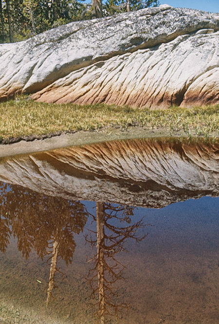 At Grassy Lake<br>John Muir Wilderness 31 Aug 1976 At Grassy Lake<br>John Muir Wilderness 31 Aug 1976