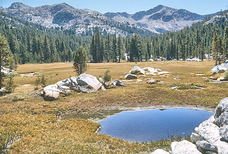 Meadow above Grassy Lake<br>John Muir Wilderness 31 Aug 1976 Meadow above Grassy Lake<br>John Muir Wilderness 31 Aug 1976