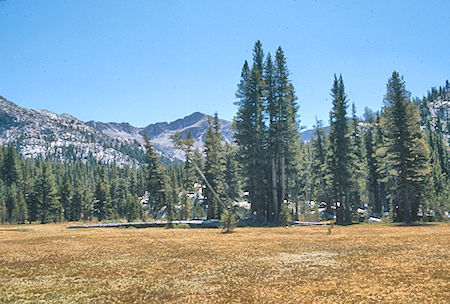 Meadow above Grassy Lake<br>John Muir Wilderness 31 Aug 1976 Meadow above Grassy Lake<br>John Muir Wilderness 31 Aug 1976