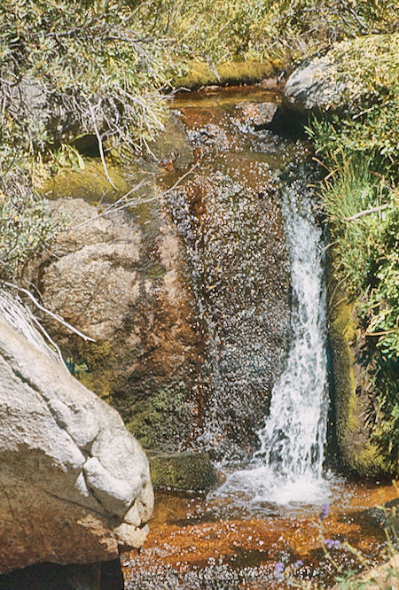 Cascade near Grassy Lake<br>John Muir Wilderness 31 Aug 1976 Cascade near Grassy Lake<br>John Muir Wilderness 31 Aug 1976