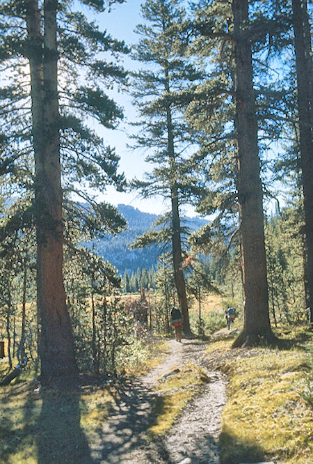 Silver Pass Creek Trail<br>John Muir Wilderness 01 Sep 1976 Silver Pass Creek Trail<br>John Muir Wilderness 01 Sep 1976