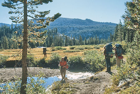 Meadow on Silver Pass Creek - John Muir Wilderness 01 Sep 1976