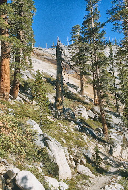Silver Pass Creek cascade<br>John Muir Wilderness 01 Sep 1976 Silver Pass Creek cascade<br>John Muir Wilderness 01 Sep 1976