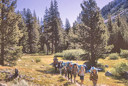 Meadow along Mono Creek - John Muir Wilderness 13 Aug 1962