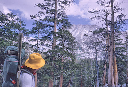 Seven Gables from Upper Bear Creek Meadow - John Muir Wilderness 14 Aug 1962