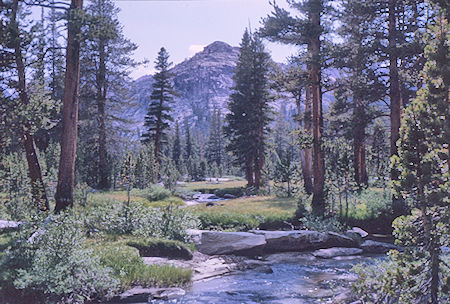 Entrance to Rose Marie Meadows - John Muir Wilderness 14 Aug 1962 Entrance to Rose Marie Meadows - John Muir Wilderness 14 Aug 1962