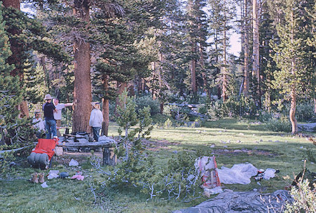 Camp at Rose Marie Meadow - John Muir Wilderness 14 Aug 1962