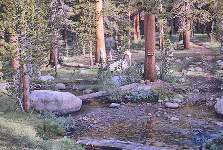 Campsite at Senger Creek - John Muir Wilderness 15 Aug 1962