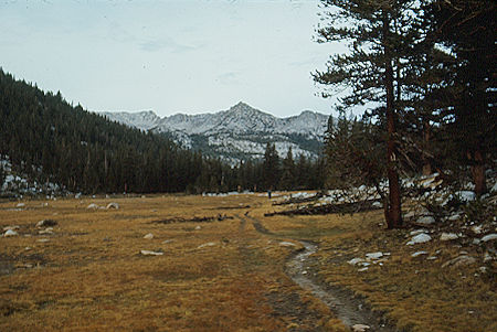 Meadow along Hilgard Branch - John Muir Wilderness 05 Sep 1976