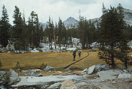 Meadow along Hilgard Branch - John Muir Wilderness 05 Sep 1976