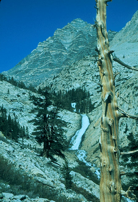 Pine Creek Falls - John Muir Wilderness 11 Jun 1977 Pine Creek Falls - John Muir Wilderness 11 Jun 1977