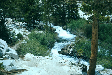 Pine Creek - John Muir Wilderness 04 Jul 1975