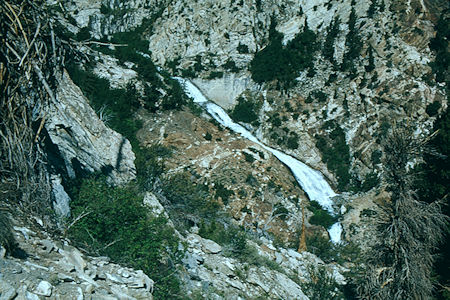 Pine Creek - John Muir Wilderness 04 Jul 1975