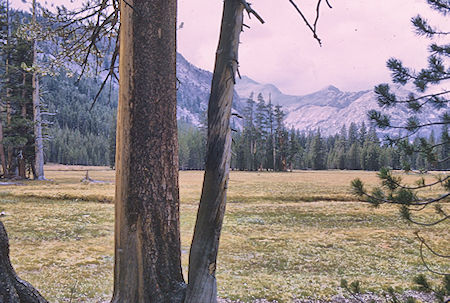 Evolution Meadow - Kings Canyon National Park 31 Aug 1968