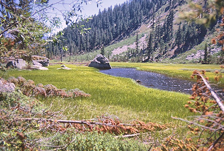 Grouse Meadow - Kings Canyon National Park 30 Aug 1969