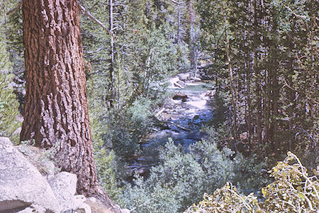 Palisade Creek - Kings Canyon National Park 19 Aug 1963 Palisade Creek - Kings Canyon National Park 19 Aug 1963