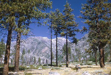 Simpson Meadow - Kings Canyon National Park 29 Aug 1969