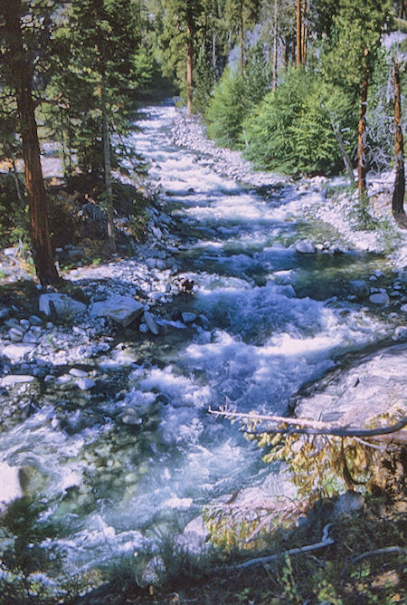 Middle Fork Kings River - Kings Canyon National Park 29 Aug 1969