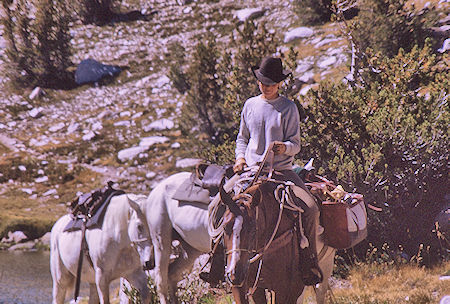 Teen girl packer in Rae Lakes area<br>Kings Canyon National Park 31 Aug 1970 Teen girl packer in Rae Lakes area<br>Kings Canyon National Park 31 Aug 1970