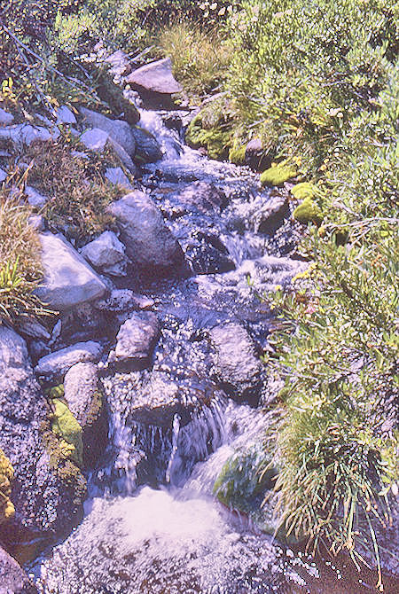 Stream in Sixty Lakes Basin<br>Kings Canyon National Park 02 Sep 1970 Stream in Sixty Lakes Basin<br>Kings Canyon National Park 02 Sep 1970