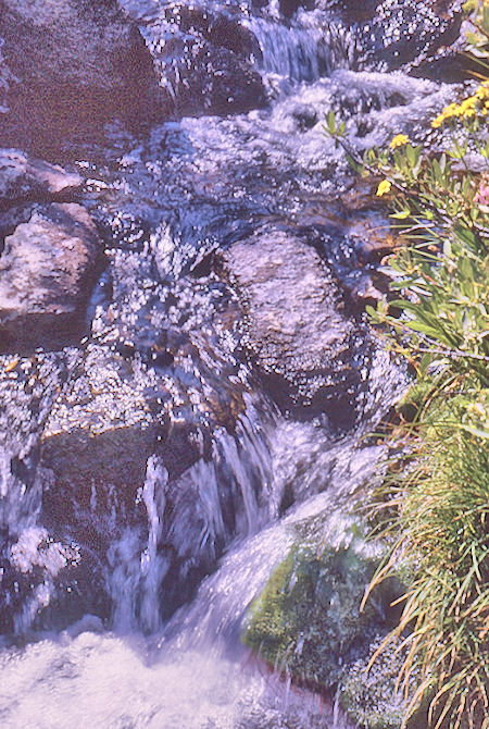 Stream in Sixty Lakes Basin<br>Kings Canyon National Park 02 Sep 1970 Stream in Sixty Lakes Basin<br>Kings Canyon National Park 02 Sep 1970