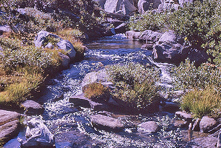 Gardiner Creek - Kings Canyon National Park 04 Sep 1970