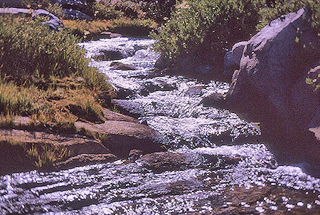 Gardiner Creek<br>Kings Canyon National Park 04 Sep 1970 Gardiner Creek<br>Kings Canyon National Park 04 Sep 1970