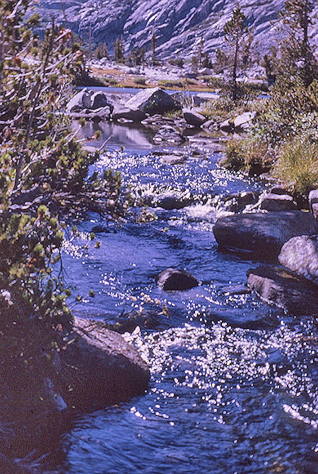 Gardiner Creek<br>Kings Canyon National Park 04 Sep 1970 Gardiner Creek<br>Kings Canyon National Park 04 Sep 1970