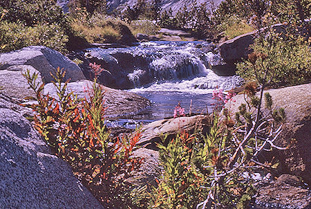 Gardiner Creek - Kings Canyon National Park 04 Sep 1970