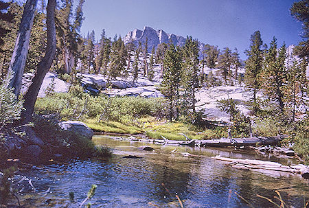 Gardiner Creek - Kings Canyon National Park 04 Sep 1970