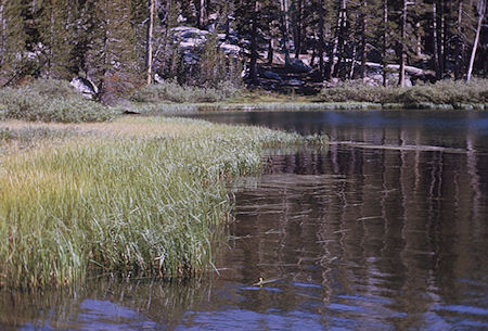 Grassy lake near Gardiner Pass - Kings Canyon National Park 04 Sep 1970