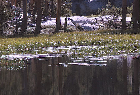 Lake near Gardiner Pass<br>Kings Canyon National Park 05 Sep 1970 Lake near Gardiner Pass<br>Kings Canyon National Park 05 Sep 1970