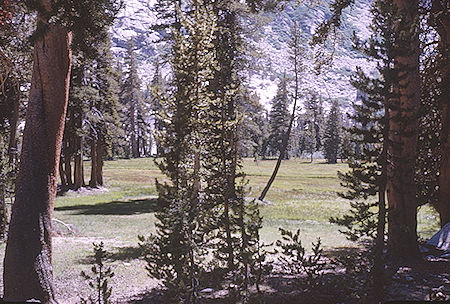 Vidette Meadow - Kings Canyon National Park 25 Aug 1963 Vidette Meadow - Kings Canyon National Park 25 Aug 1963