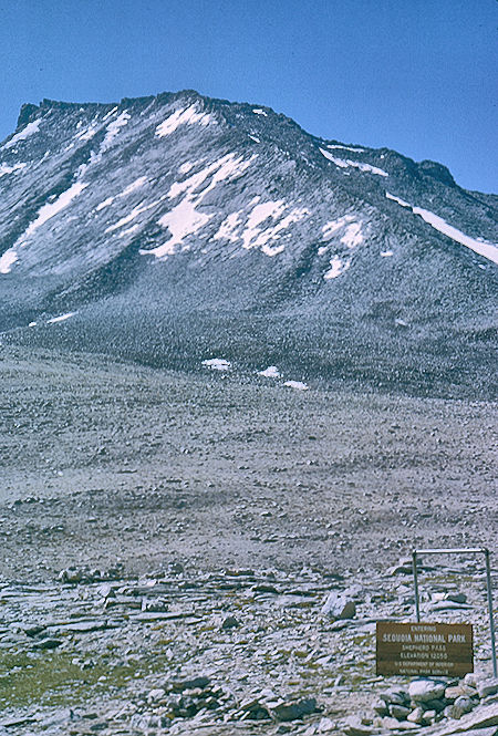 Mt. Tyndall from Shepherd Pass - John Muir Wilderness/Sequois National Park 18 Aug 1965