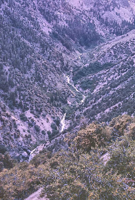 Shepherd Creek from Shepherd Pass Trail - John Muir Wilderness 27 Aug 1967 Shepherd Creek from Shepherd Pass Trail - John Muir Wilderness 27 Aug 1967