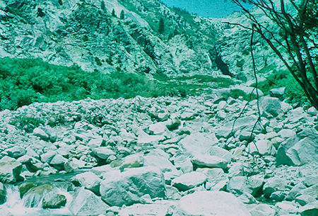 View up Lone Pine Creek over rocks scoured by spring runoff - Sequoia National Park 19 Jul 1957
