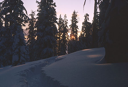 Sun setting near ridge camp on Pear Lake Ski Trail - Sequoia National Park 1964
