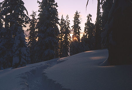 Sun setting near ridge camp on Pear Lake Ski Trail<br>Sequoia National Park 1964 Sun setting near ridge camp on Pear Lake Ski Trail<br>Sequoia National Park 1964