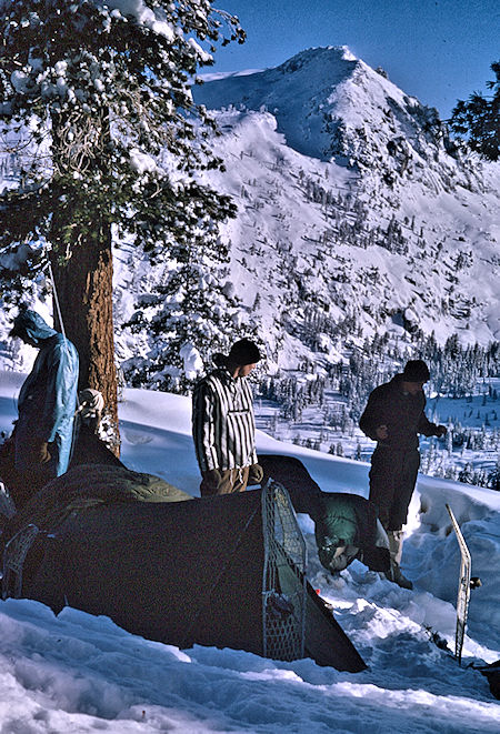 Morning at Heather Gap camp<br>Sequoia National Park 1965 Morning at Heather Gap camp<br>Sequoia National Park 1965