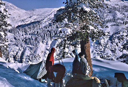 Morning at Heather Gap camp<br>Sequoia National Park 1965 Morning at Heather Gap camp<br>Sequoia National Park 1965