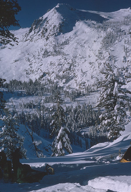 View from Heather Gap camp<br>Sequoia National Park 1965 View from Heather Gap camp<br>Sequoia National Park 1965
