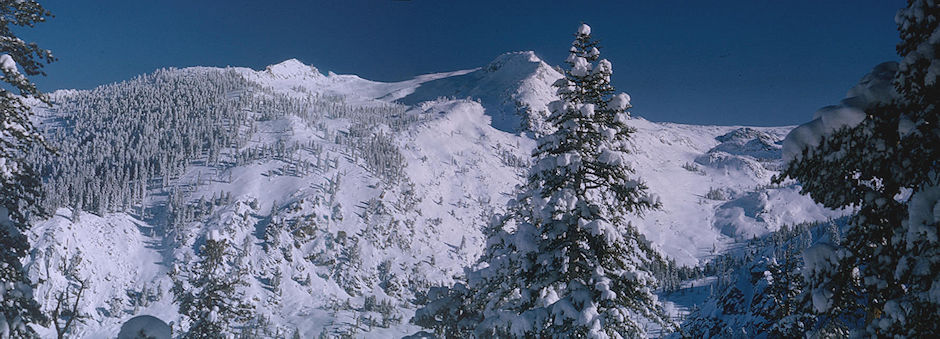 View from Heather Gap camp<br>Sequoia National Park 1965 View from Heather Gap camp<br>Sequoia National Park 1965